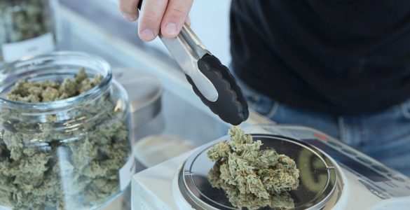 Dans l'État de New York, les condamnés pour vente de cannabis seront les premiers à en vendre légalement
