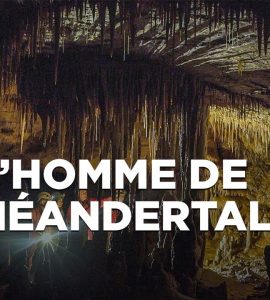 neandertal-le-mystere-de-la-grot-270x300.jpg