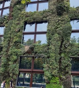 Sept œuvres d’art arrachées au musée du Quai Branly à Paris, un suspect interpellé
