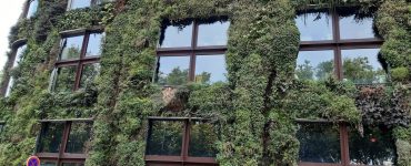 Sept œuvres d’art arrachées au musée du Quai Branly à Paris, un suspect interpellé