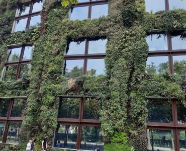 Sept œuvres d’art arrachées au musée du Quai Branly à Paris, un suspect interpellé