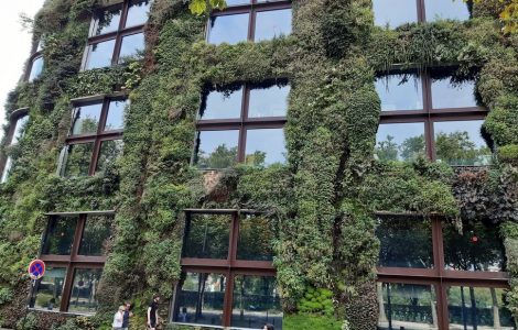 Sept œuvres d’art arrachées au musée du Quai Branly à Paris, un suspect interpellé