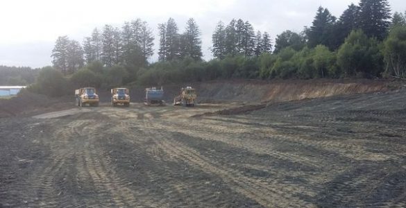 Sans aucunes autorisations, une entreprise déboise 5.000 m2 pour y stocker une dizaine d'éoliennes géantes