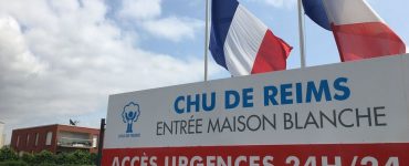 À Reims, une femme meurt de la rage après avoir été griffée par un chat sauvage à l’étranger