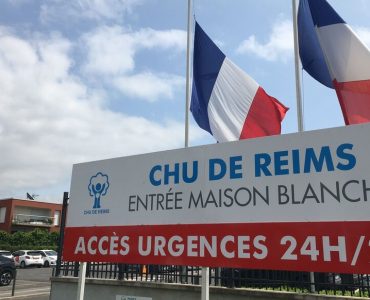 À Reims, une femme meurt de la rage après avoir été griffée par un chat sauvage à l’étranger