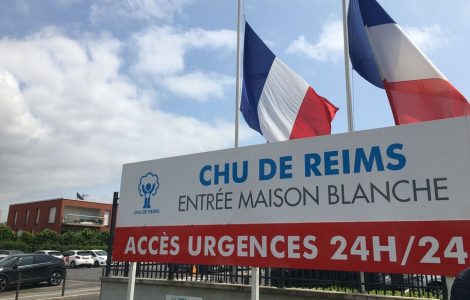 À Reims, une femme meurt de la rage après avoir été griffée par un chat sauvage à l’étranger