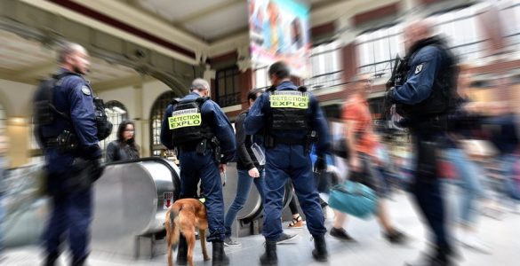 Explosifs détectés dans une valise à Perpignan : aéroport évacué, démineurs sur place et passager en garde à vue... ce que l'on sait