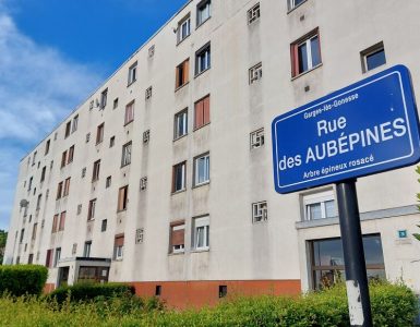 Garges-lès-Gonesse : elle avait étranglé sa fille de 21 ans avec un foulard