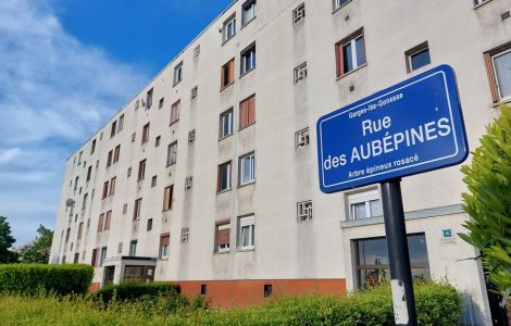 Garges-lès-Gonesse : elle avait étranglé sa fille de 21 ans avec un foulard