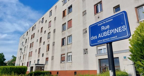 Garges-lès-Gonesse : elle avait étranglé sa fille de 21 ans avec un foulard