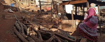 À Mayotte, l’échec cuisant de l’opération Wuambushu