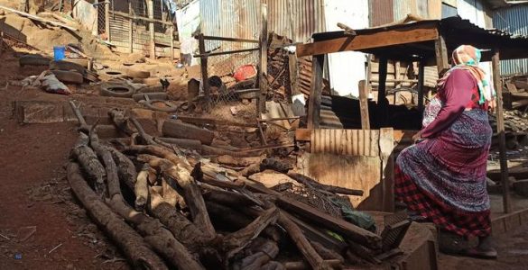 À Mayotte, l’échec cuisant de l’opération Wuambushu