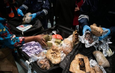Trafic de viande de brousse : un réseau hors de contrôle en Europe