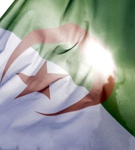 Un Algérien, visé par une OQTF, refoulé à Oran malgré sa carte d’identité valide