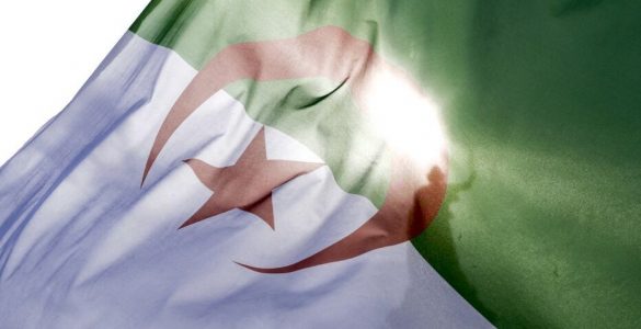 Un Algérien, visé par une OQTF, refoulé à Oran malgré sa carte d’identité valide
