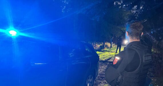 Évacuation par la gendarmerie des migrants irakiens découverts en forêt de Châtellerault. Photo Denys Frétier / La Nouvelle République.