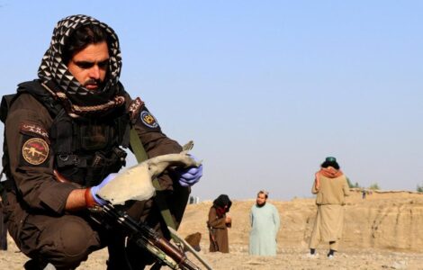 Illustration des discussions entre la France et les talibans sur l'expulsion d'Afghans en situation irrégulière