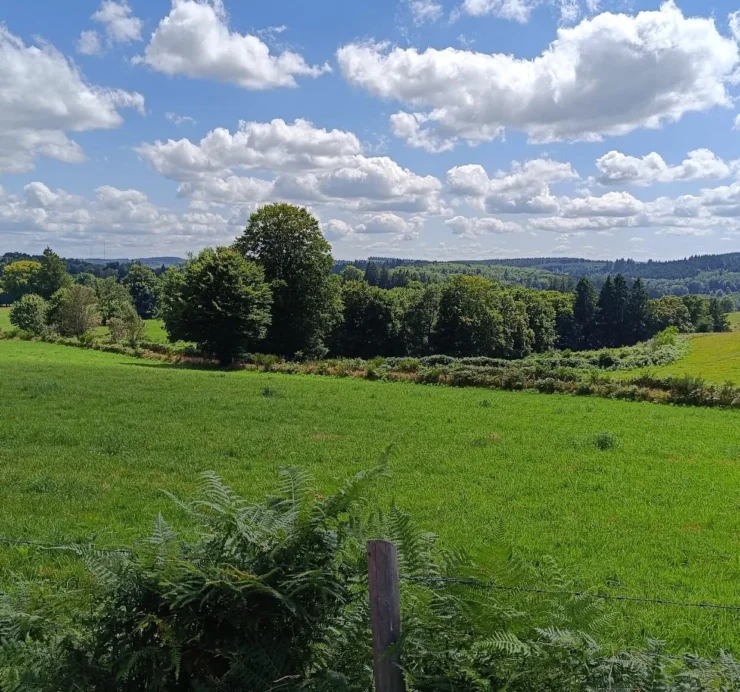 Paysage rural et boisé du plateau de Millevaches, photographie Decathlon Outdoor