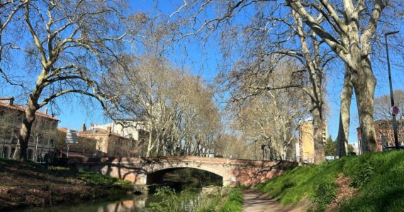 Canal de Brienne à Toulouse, lieu des recherches après une altercation