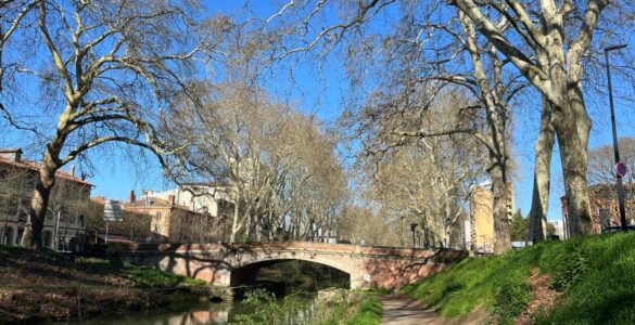 Canal de Brienne à Toulouse, lieu des recherches après une altercation